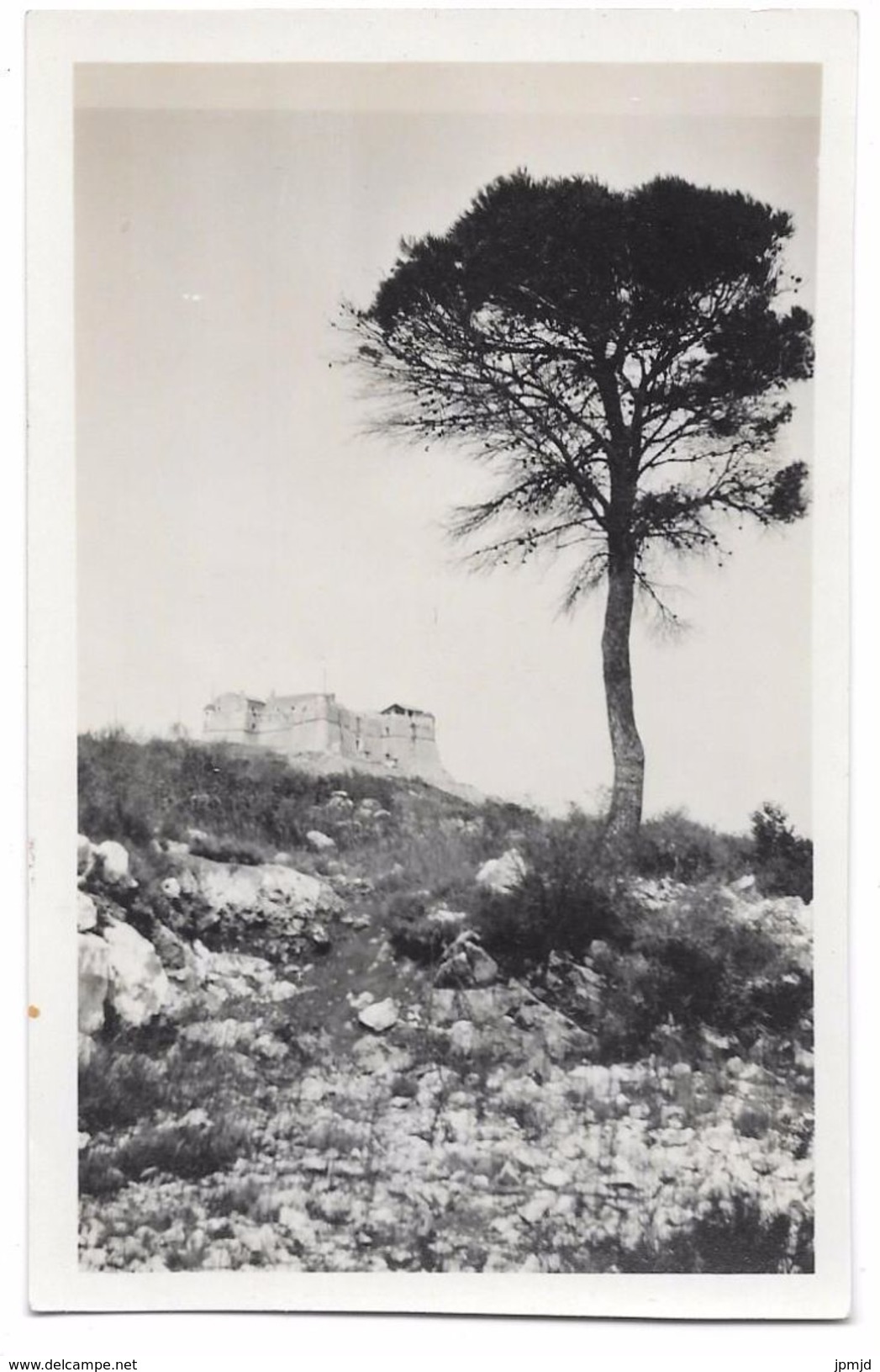 06 - La Vieille Forteresse Au Col De Villefranche (A.M.) - Carte Photo - Villefranche-sur-Mer