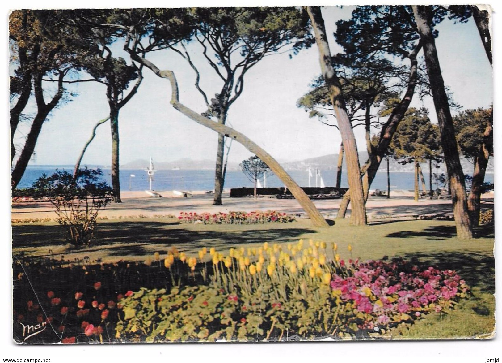 06 - La Vieille Forteresse Au Col De Villefranche (A.M.) - Carte Photo - Villefranche-sur-Mer