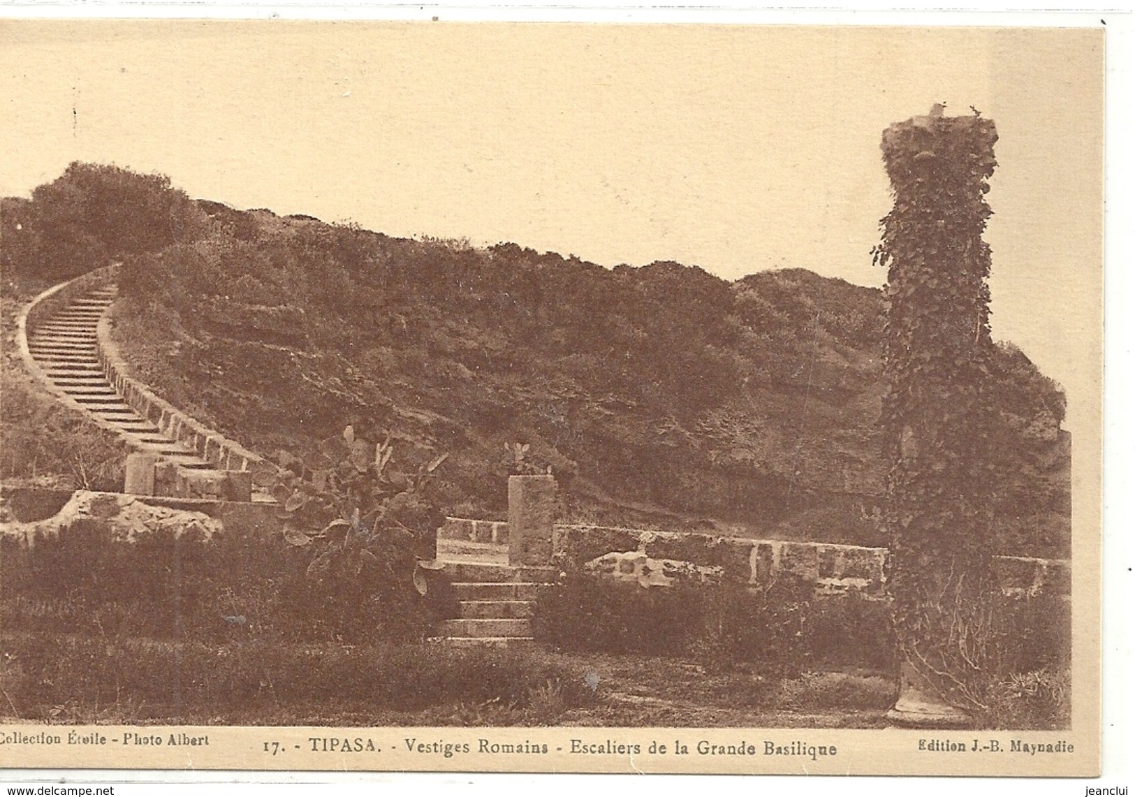 17- TIPASA . VESTIGES ROMAINS - ESCALIERS DE LA GRANDE BASILIQUE . CARTE NON ECRITE - Autres & Non Classés