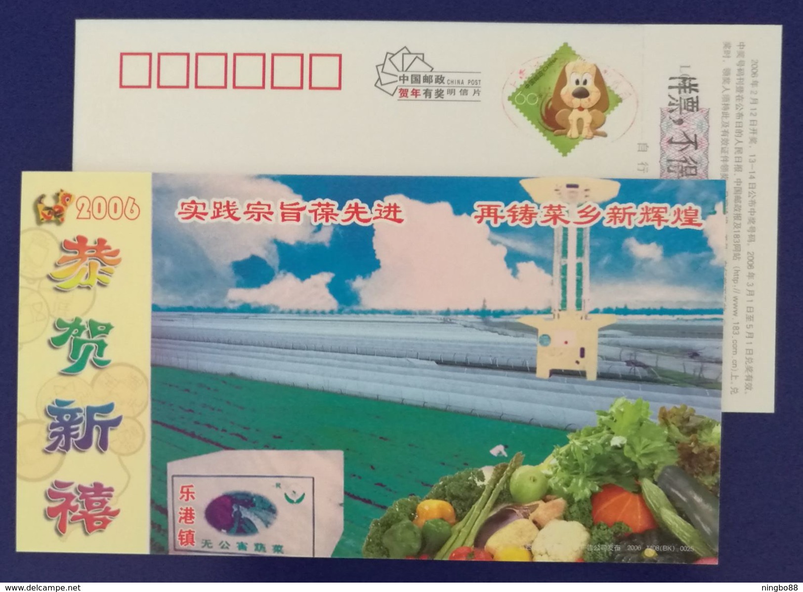 Cauliflower,asparagus,Pumpkin,Balsam Pear,CN06 Legang Town Pollution-free Vegetables Advert PSC,specimen Overprinted - Vegetables