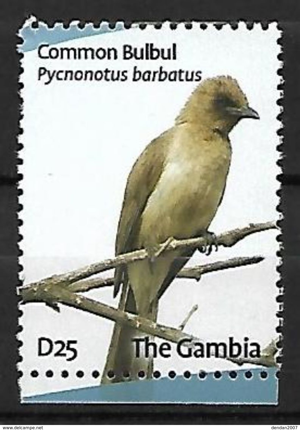 Gambia MNH 2009 - Common Bulbul (Pycnonotus Barbatus) F184 - Songbirds & Tree Dwellers