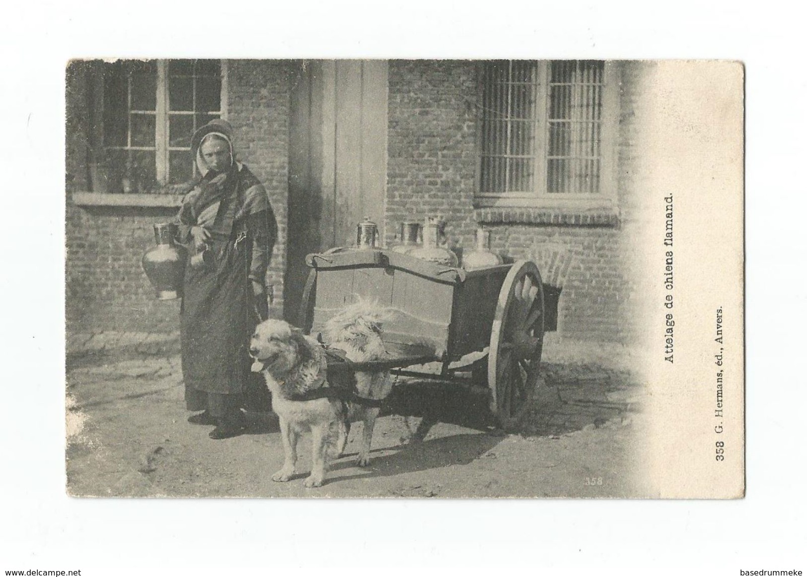 Attelage De Chiens Flamand (G. Hermans, éd., Anvers). - Antwerpen