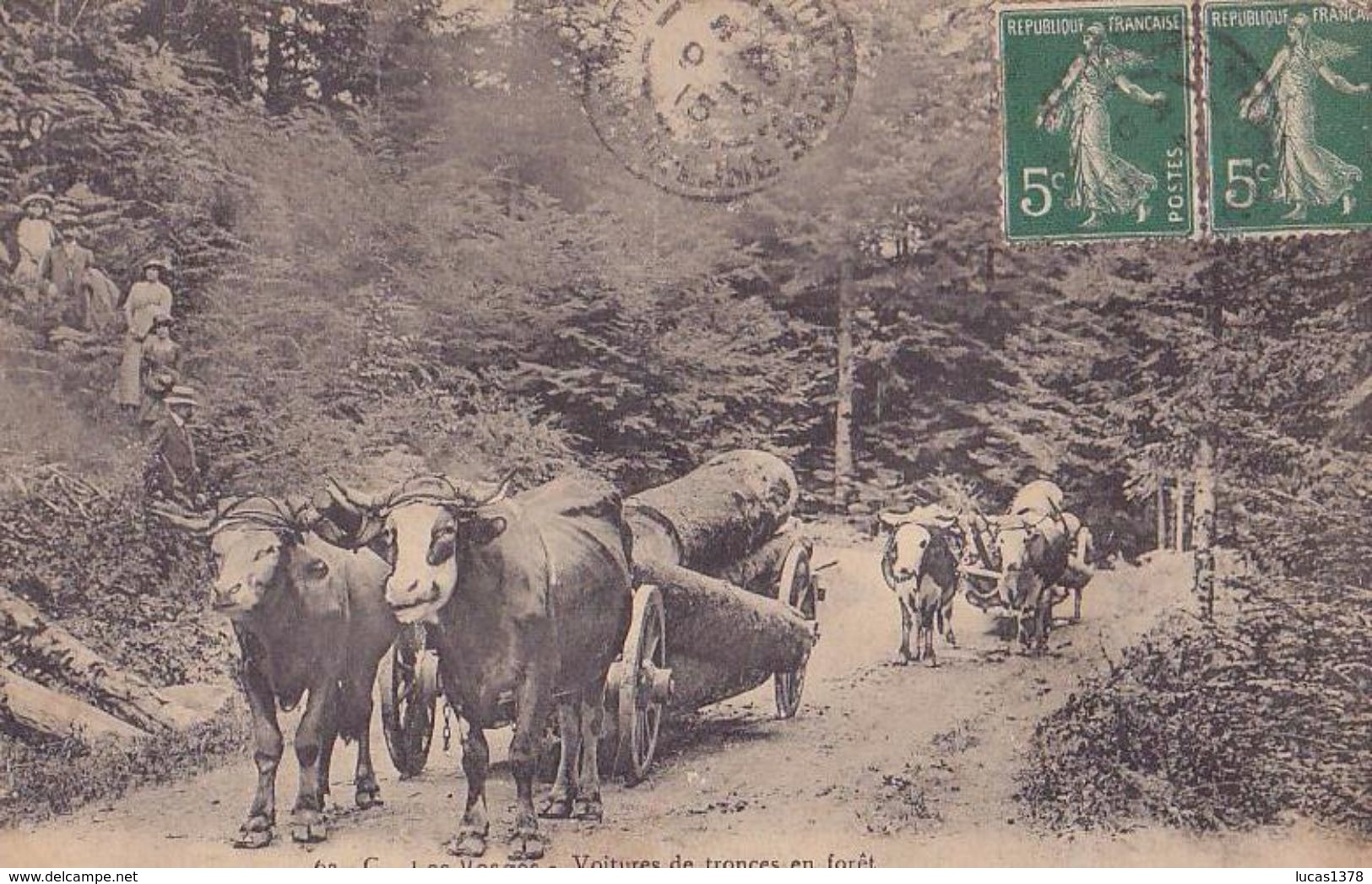 88 LES VOSGES VOITURES DE TRONCES EN FORET / ATTELAGES - Autres & Non Classés