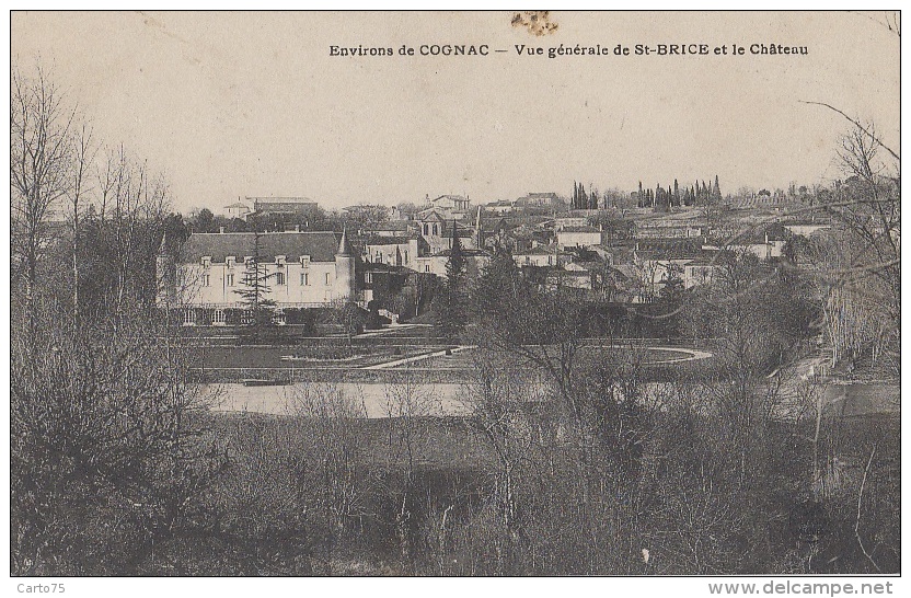 Environs De Cognac 16 - Vue Générale De Saint-Brice Et Le Château - 1905 - Cognac