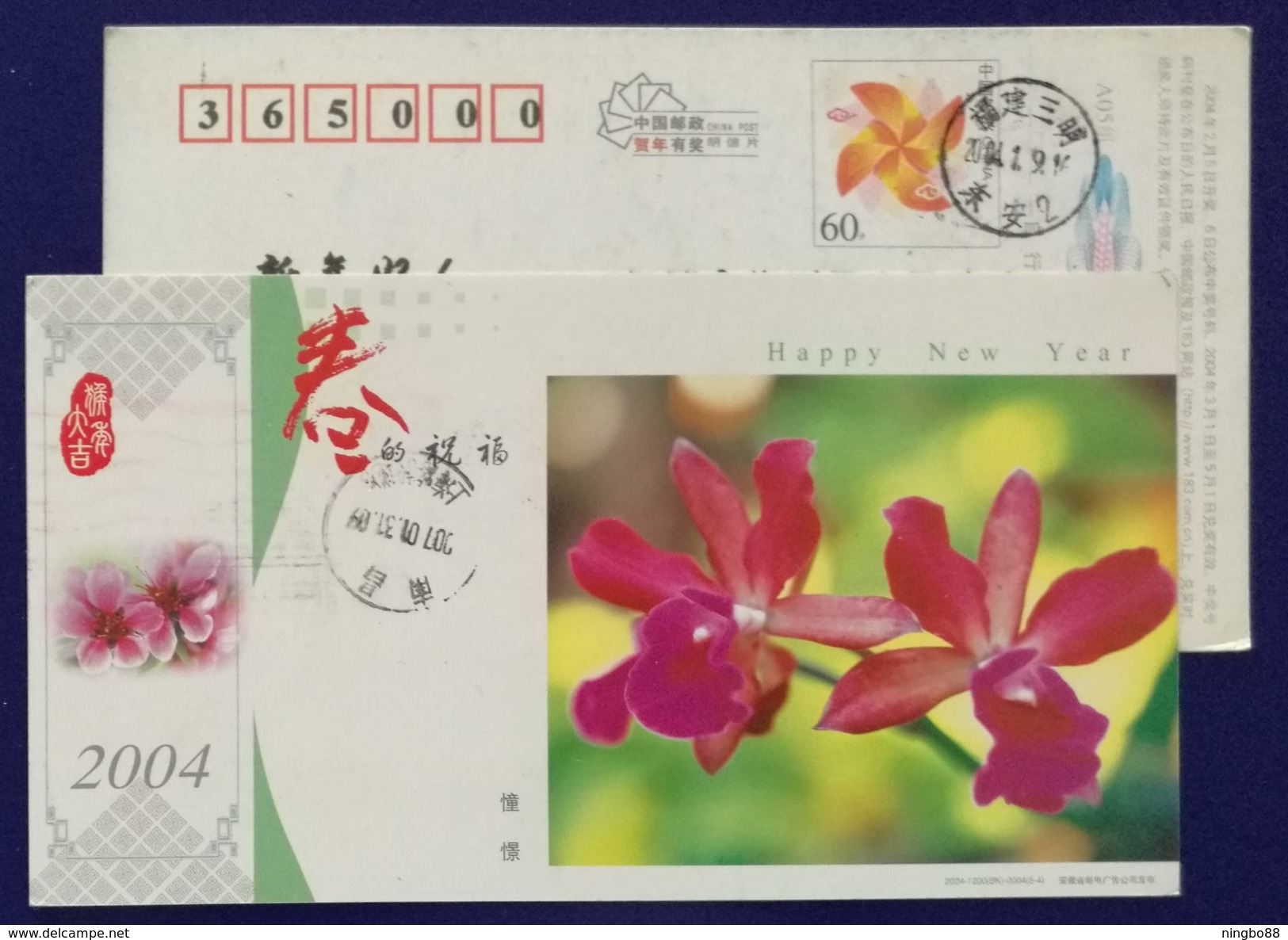 Spring Orchid,China 2004 Anhui Spring Greeting Advertising Pre-stamped Card - Orchids