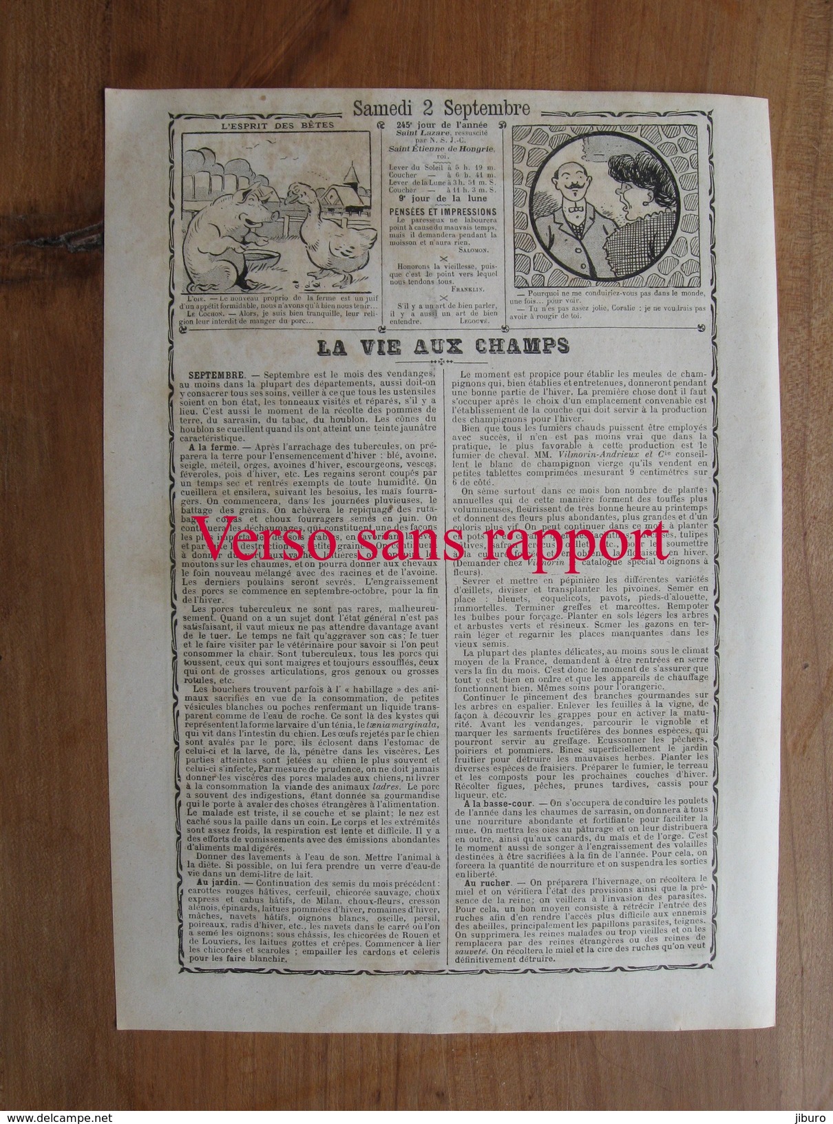 Page Presse 1911 -  Fable Bernard De Jussieu L'abeille Et La Fourmi / Les Grands Fabulistes Ruche Ancienne Rucher 213CH1 - Zonder Classificatie