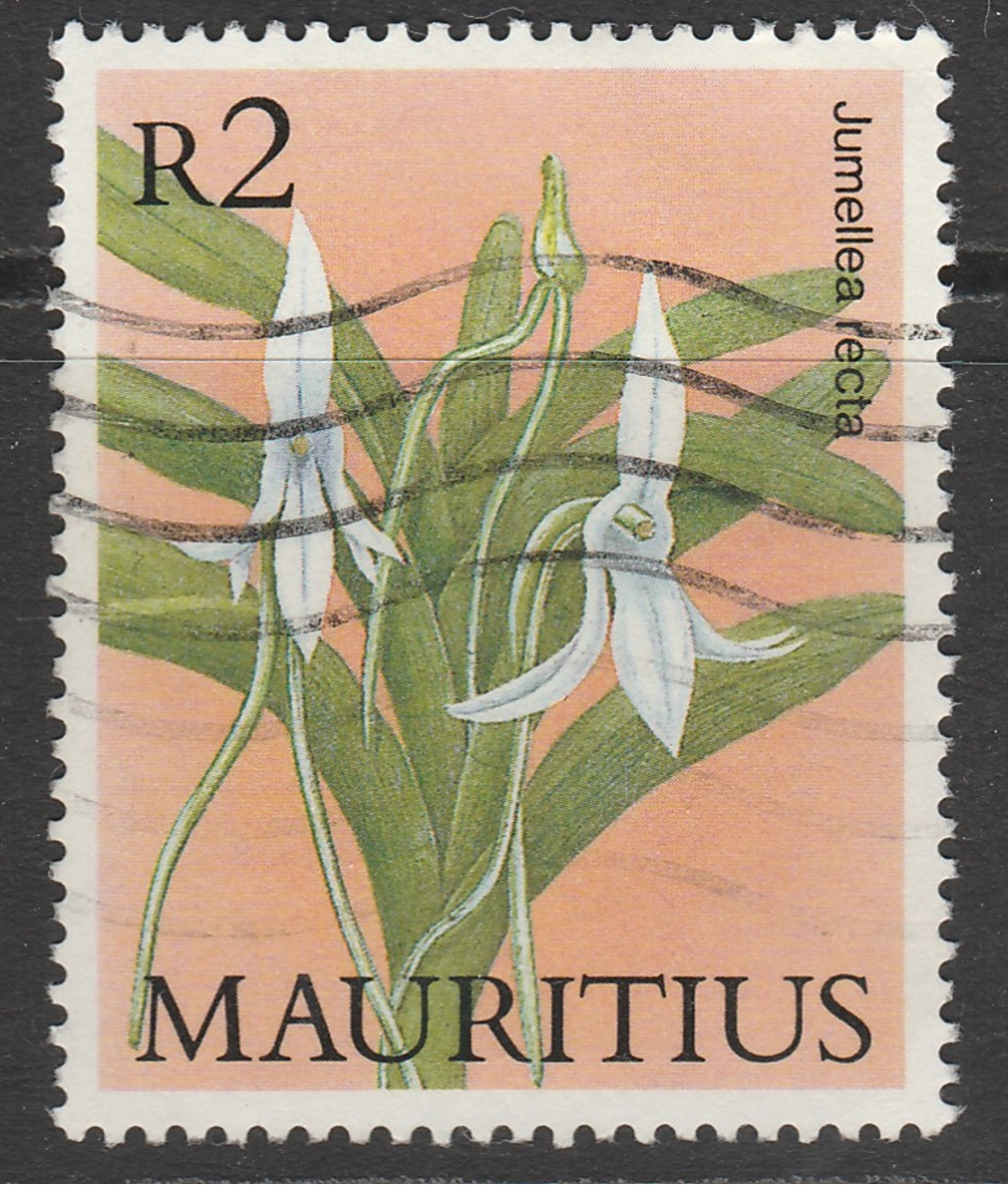 Mauritius 1986 Orchids 2R Multicoloured - Mauritius (1968-...)