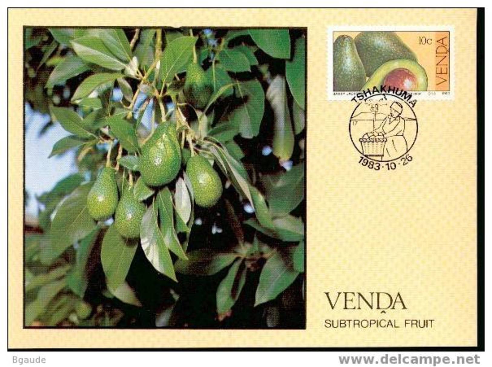 VENDA   CARTE MAXIMUM NUM.YVERT 82 FRUITS SUBTROPICAUX - Venda