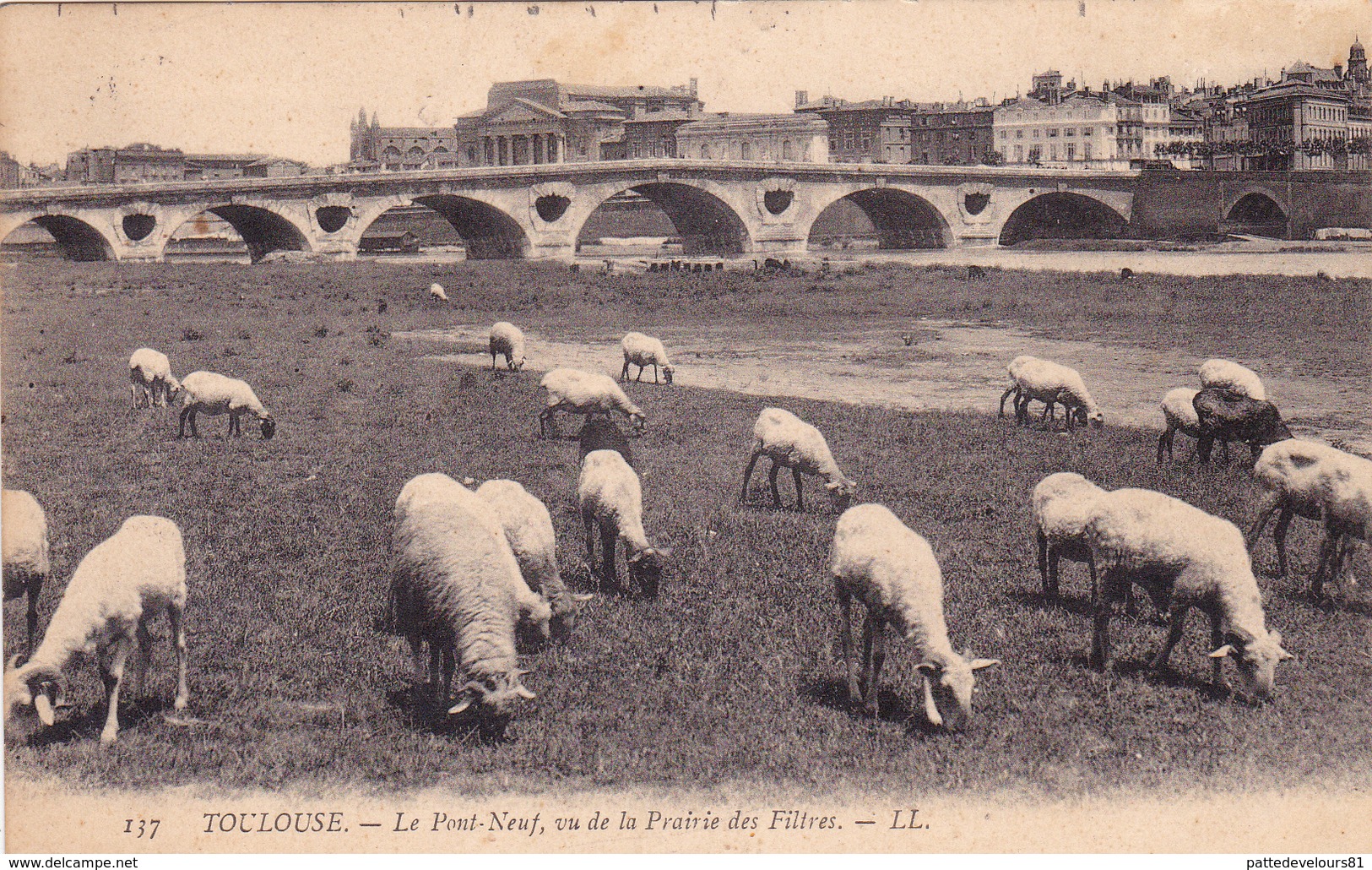CPA (31) TOULOUSE Le Pont Neuf Vu De La Prairie Des Filtres Animaux Brebis Ovins (2 Scans) - Toulouse