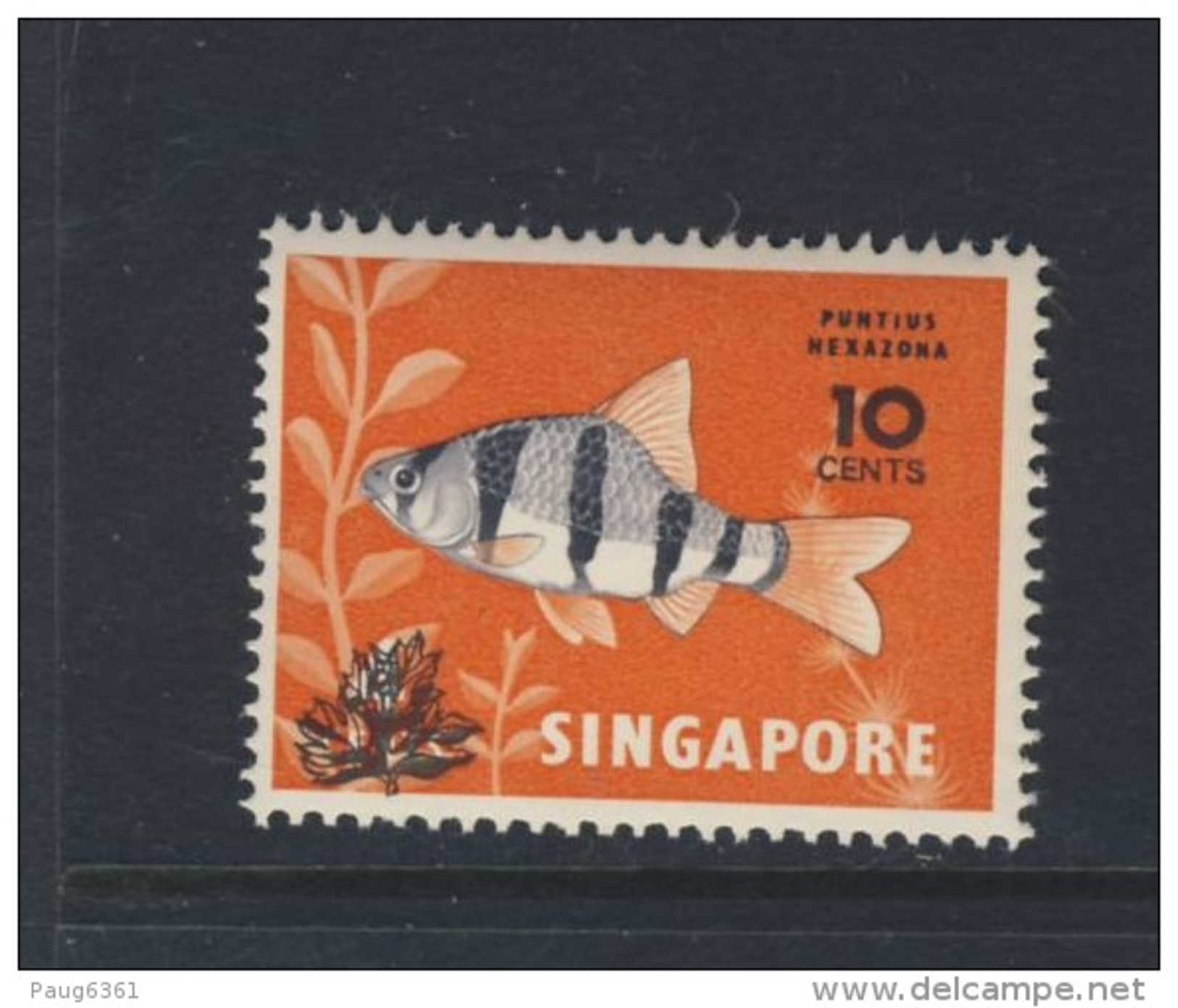 SINGAPORE  POISSONS 1981 YVERT N°368 NEUF MNH** - Singapour (1959-...)