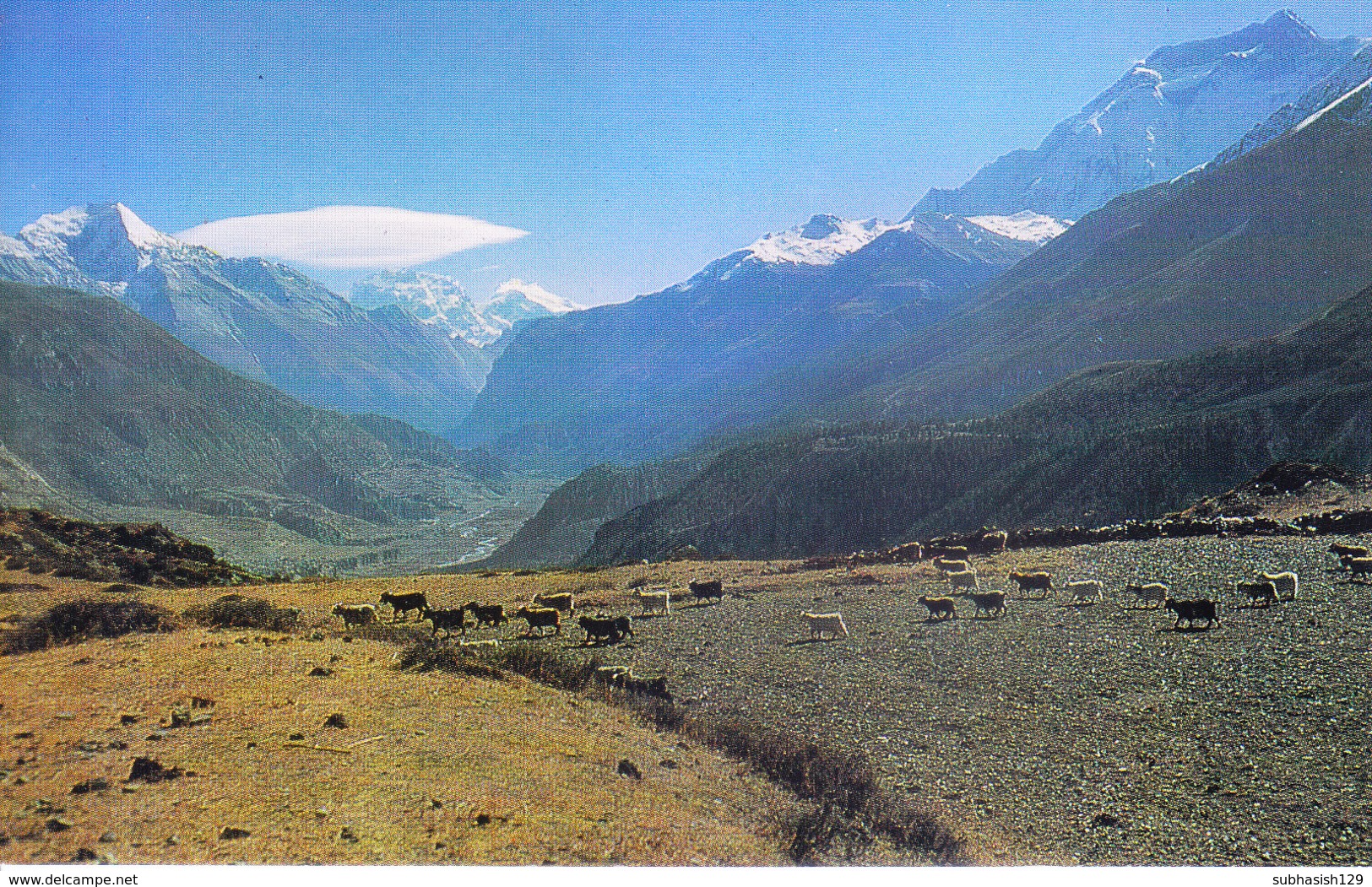 NEPAL - COLOUR PICTURE POST CARD - PEAKS OF HIMALAYA - MARSHYANGDI VALLEY - TRAVEL / TOURISM / MOUNTAINEERING - Nepal