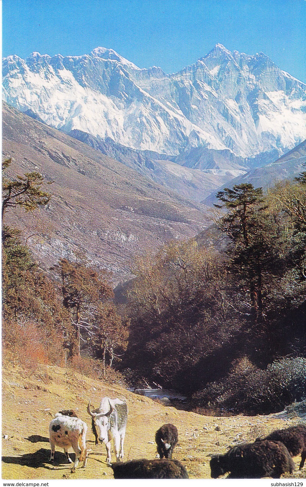 NEPAL - COLOUR PICTURE POST CARD - PEAKS OF HIMALAYA - NU TSE, MT. EVEREST, LHO TSE - TRAVEL / TOURISM / MOUNTAINEERING - Nepal