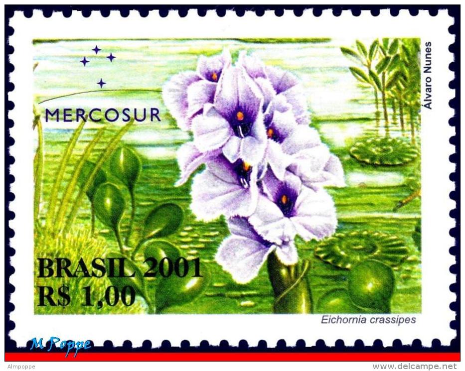 Ref. BR-2832 BRAZIL 2001 FLOWERS & PLANTS, MERCOSUR ISSUE, PANTANAL, FLORA, MI# 3216, MNH 1V Sc# 2832 - Autres & Non Classés