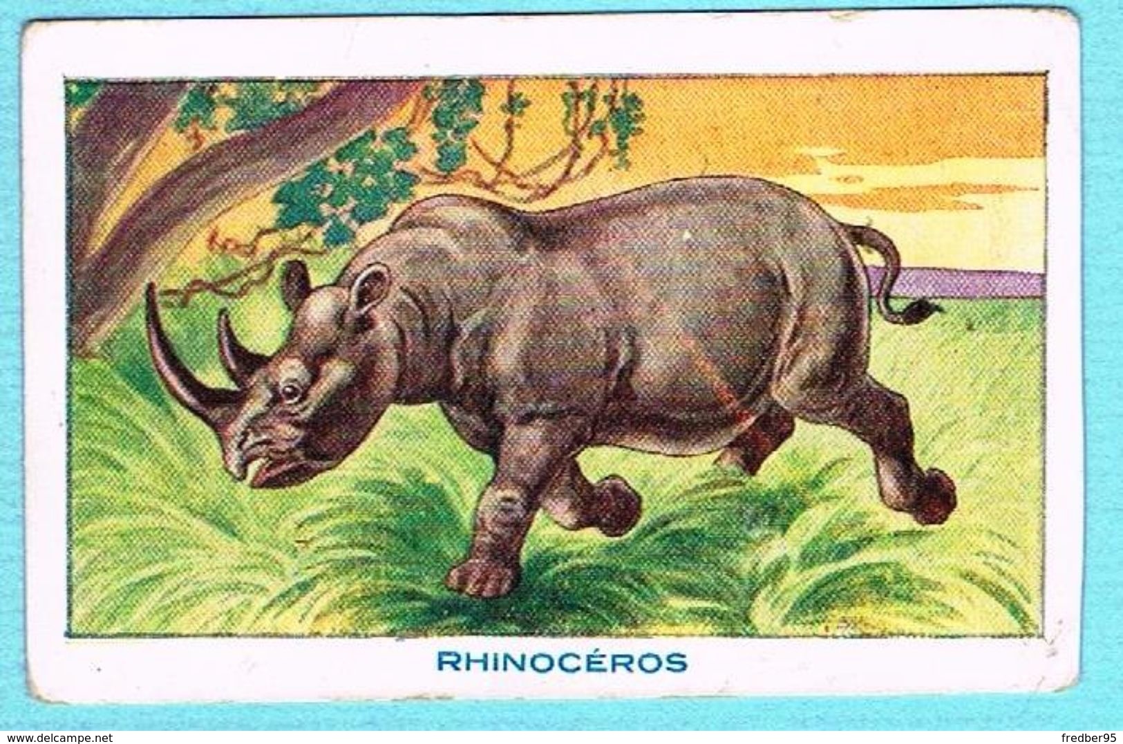 IMAGE BON POINT ECOLE LE SIROP DESCHIEN - LE RHINOCÉROS - Autres & Non Classés