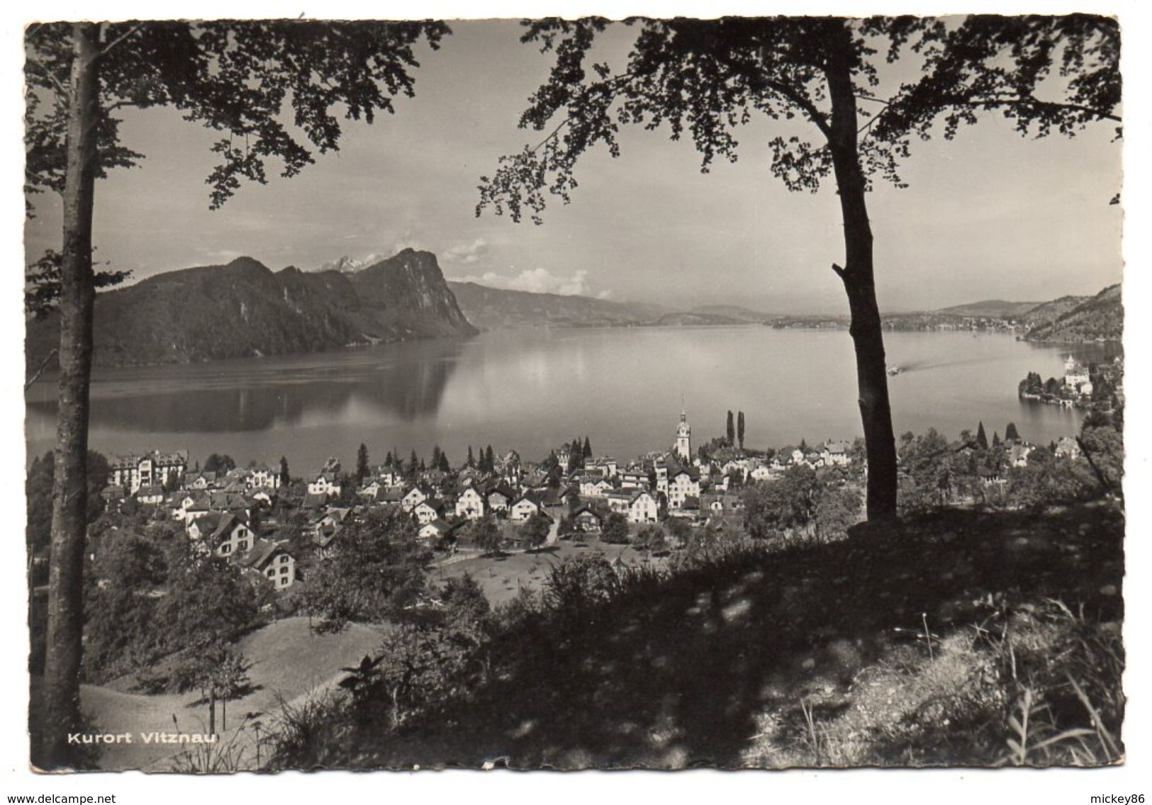 Suisse--VITZNAU--1950--Blick Gegen Bûrgenstock  Cpsm 14 X 9  N°344  Foto Burgi...timbre --cachet........à Saisir - Vitznau