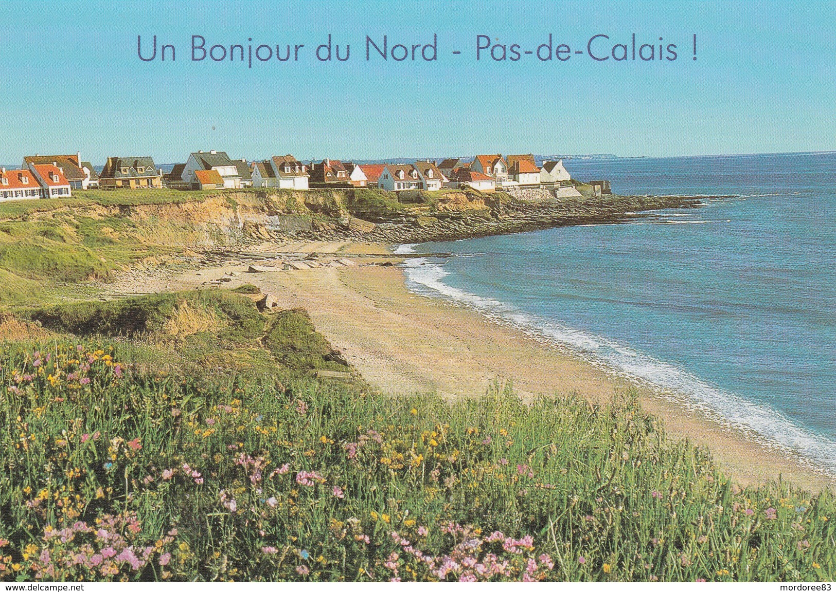 UN BONJOUR DU NORD PAS DE CALAIS - Enteros Privados