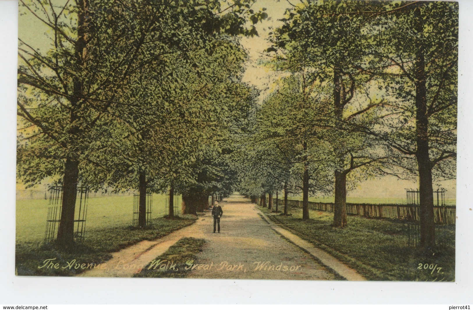 ROYAUME UNI - ENGLAND - WINDSOR - The Avenue, Long Walk , Great Park - Windsor