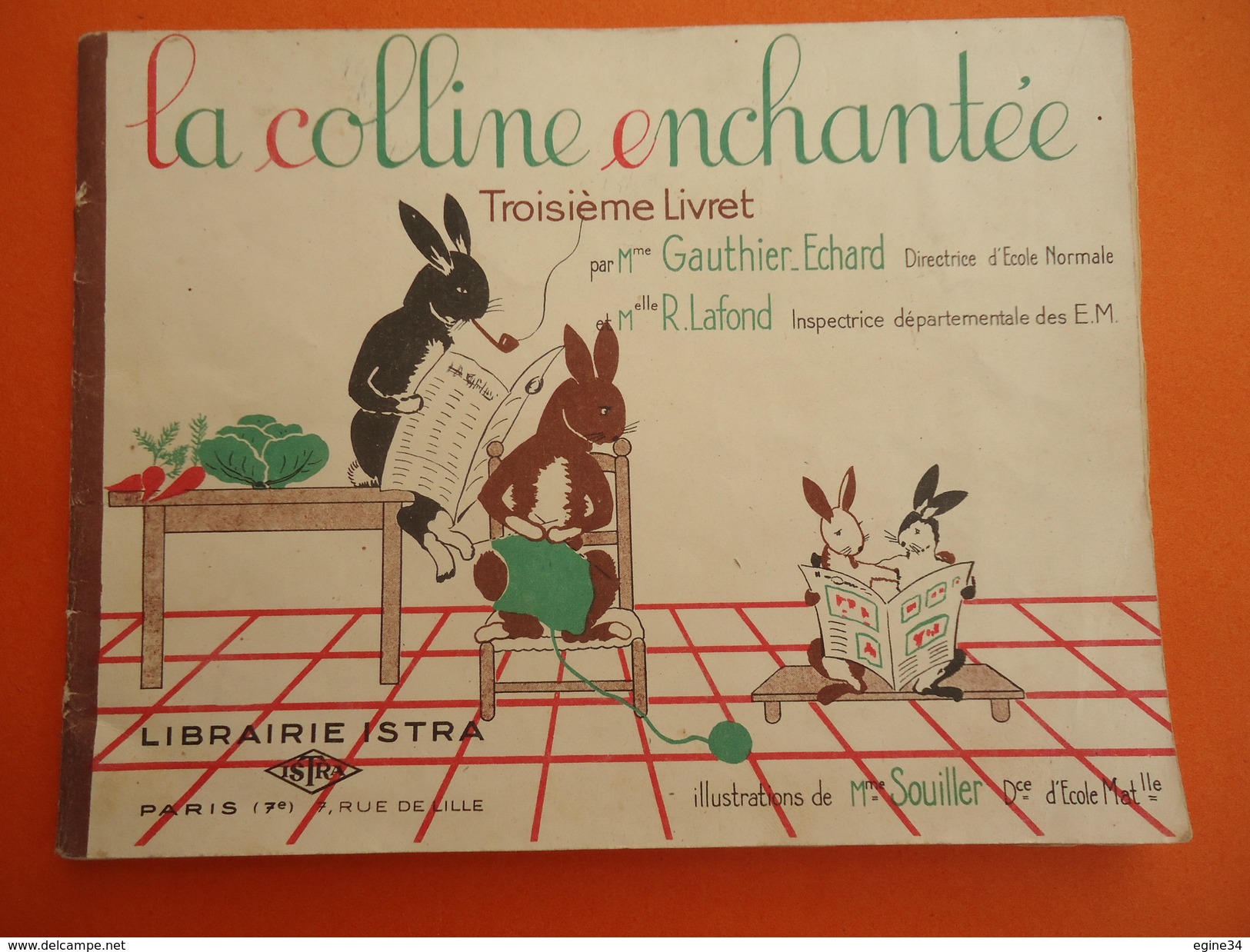 Librairie Istra - Gauthier-Echard, R. Lafond - La Colline Enchantée - 3ème Livret  La Famille Lapinet - 0-6 Anni