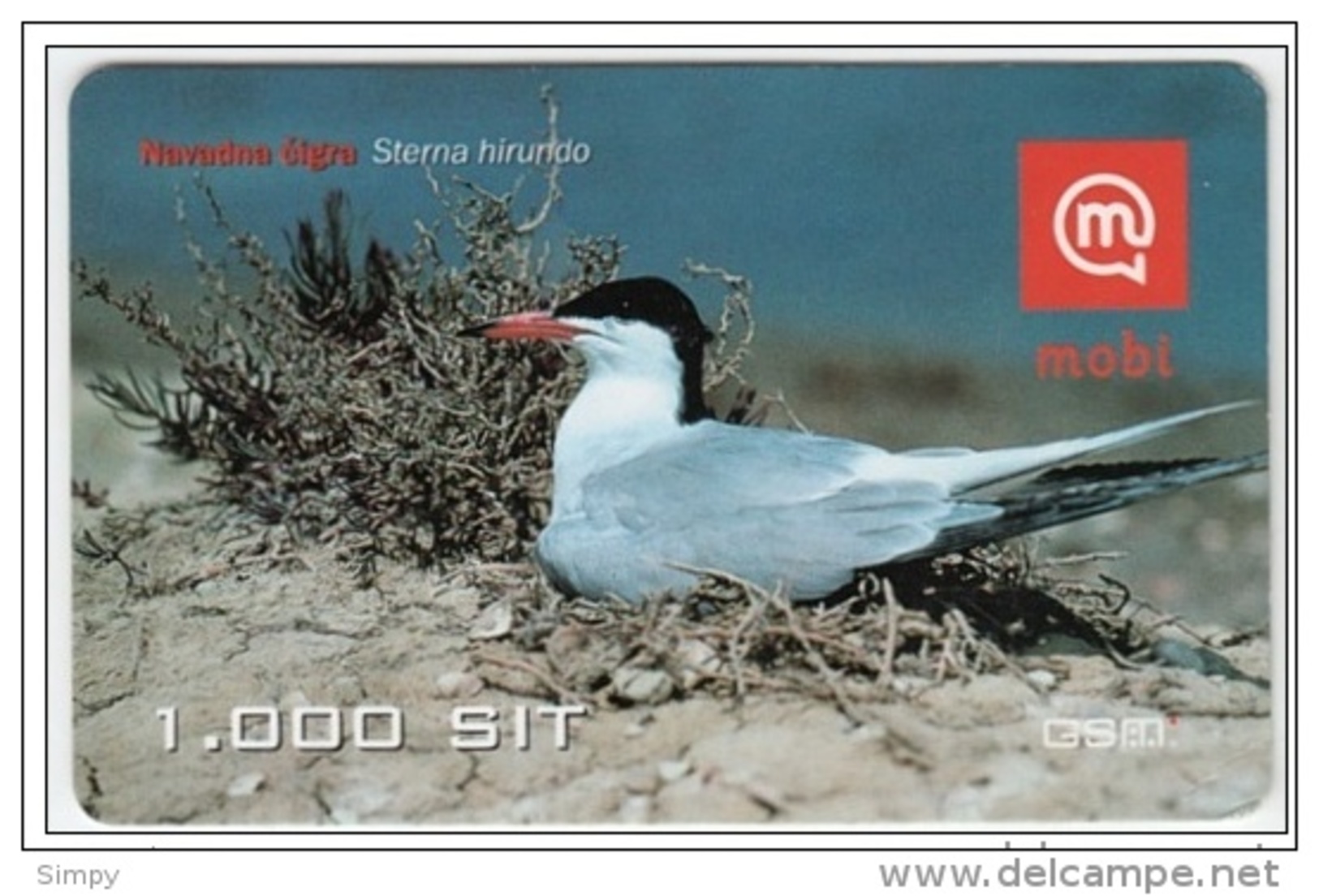 SLOVENIA  Mobil Prepaid Card Bird, Common Tern Navadna Cigra Valid 31.12.2005 - Pájaros Cantores (Passeri)