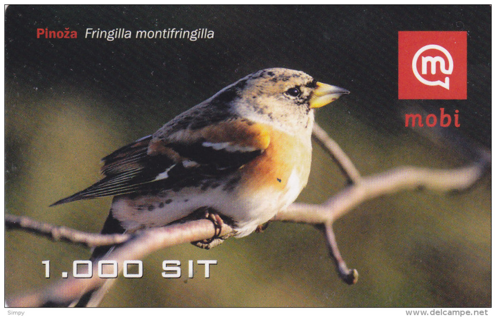 SLOVENIA Mobil Prepaid Card (paper)  Brambling Pinoza  Bird  Valid 31.12.2010 - Passereaux