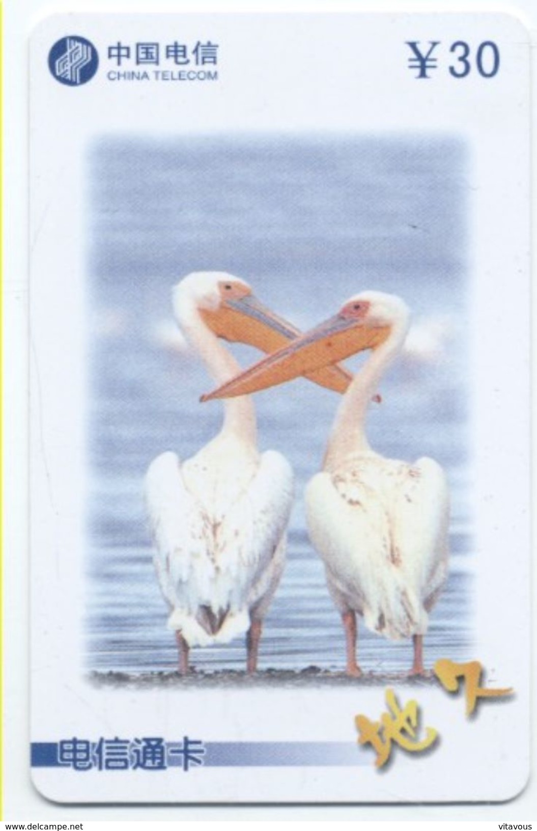 PELICAN Oiseau Bird Vogel Télécarte Phonecard Telefonkarte (S.518) - Chine