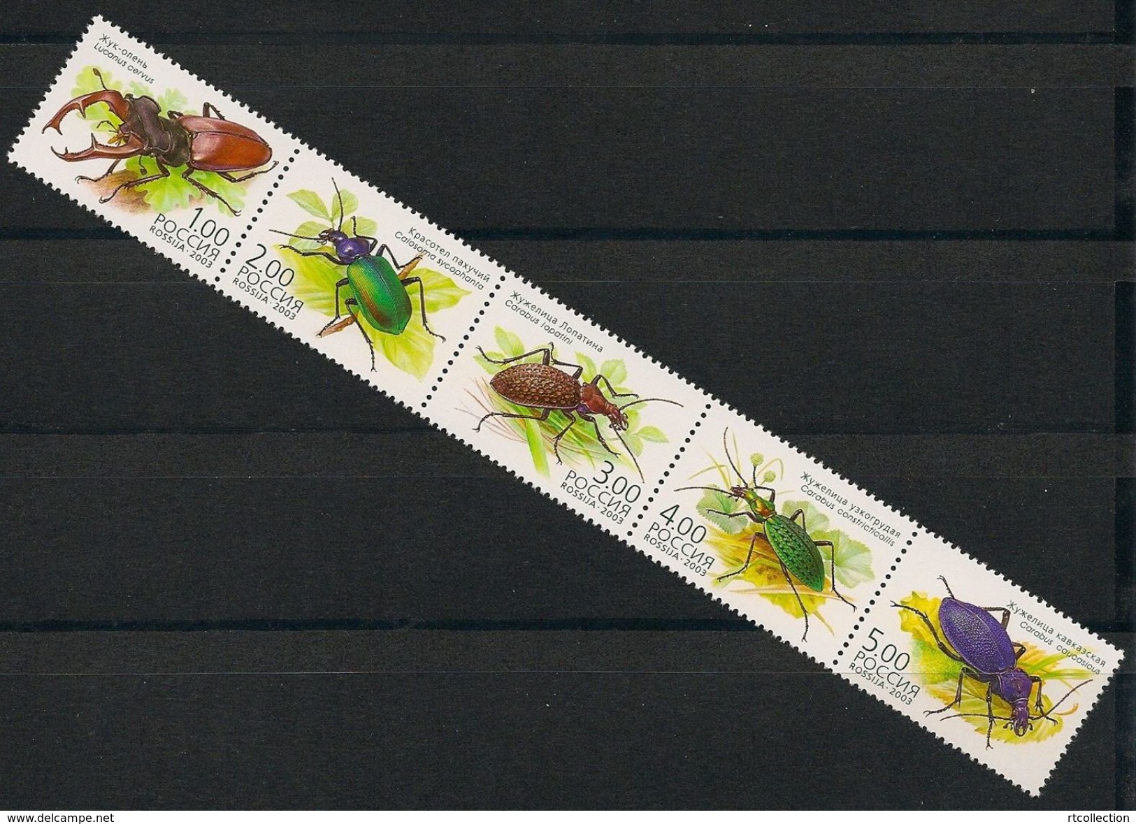 Russia 2003 Strip Beetles Insects Beetle Insect Animals Fauna Animal Lucanus Plant Bugs Nature Stamps MNH Michel 1100-04 - Sonstige & Ohne Zuordnung