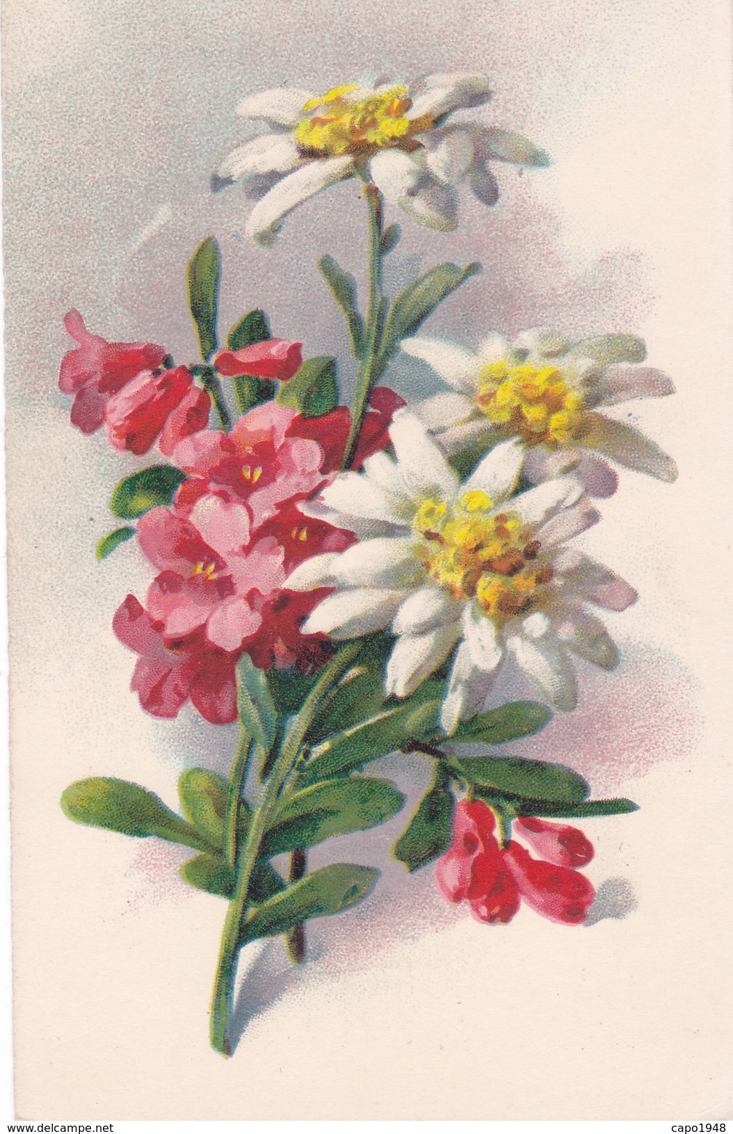 CARD BOUQUET RODODENDRO E STELLE ALPINE (NON FIRMATA) -FP-N-2---0882-27543 - Klein, Catharina