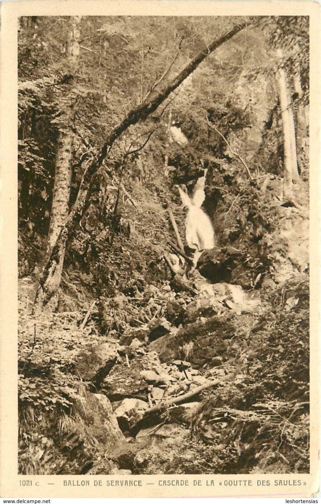 BALLON DE SERVANCE CASCADE DE LA GOUTTE DES SAULES PLANCHER LES MINES - Autres & Non Classés