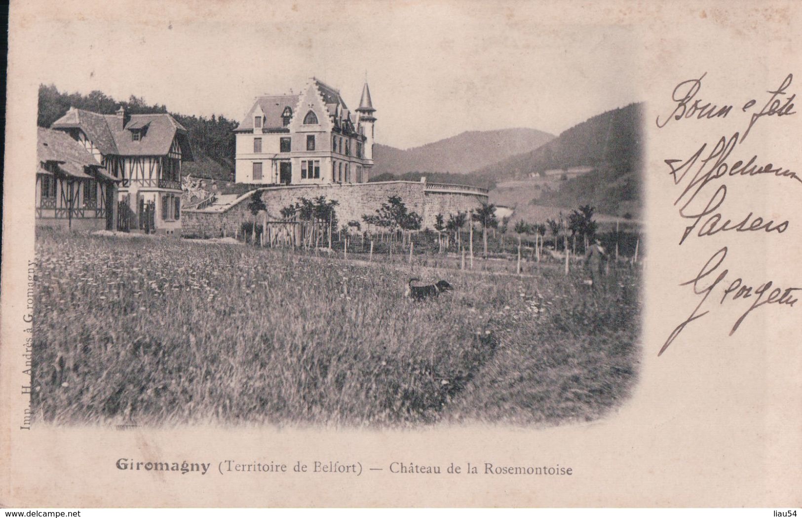 Giromagny Château De La Rosemontoise - Giromagny