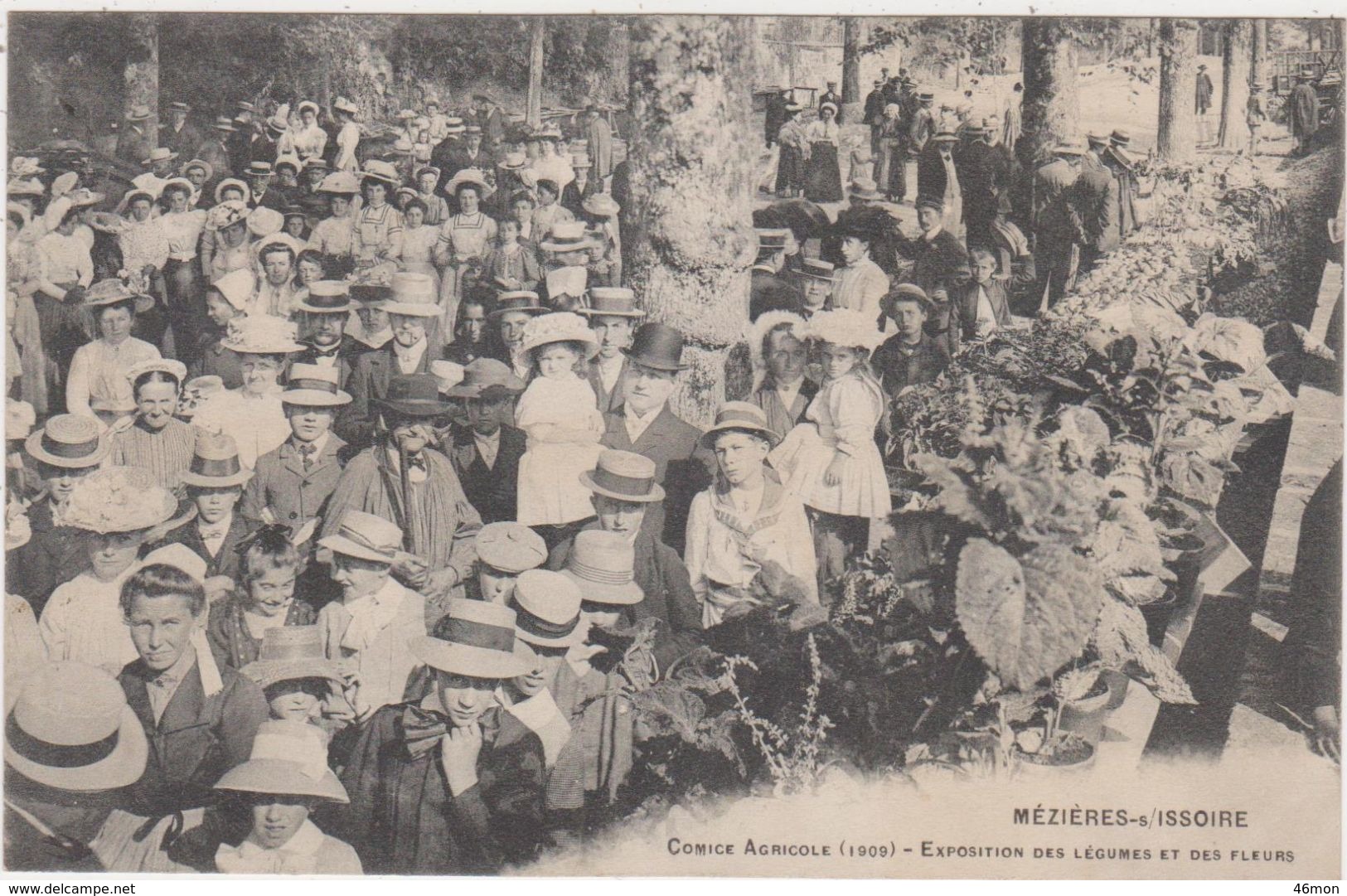 87.Mézières Sur Issoire.Comice Agricole (1909).Exposition Des Légumes Et Des Fleurs. - Meziere Sur Issoire