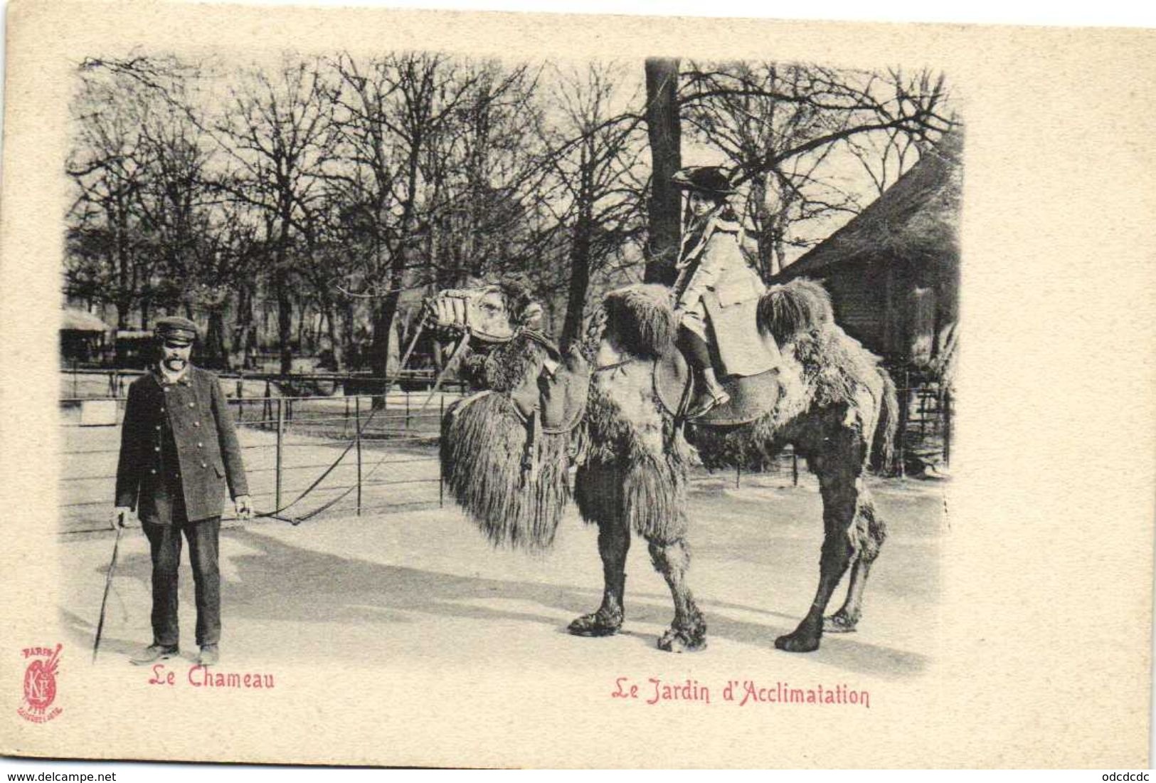 Le Chameau Le Jardin D'Acclimentation Recto Verso - Parcs, Jardins