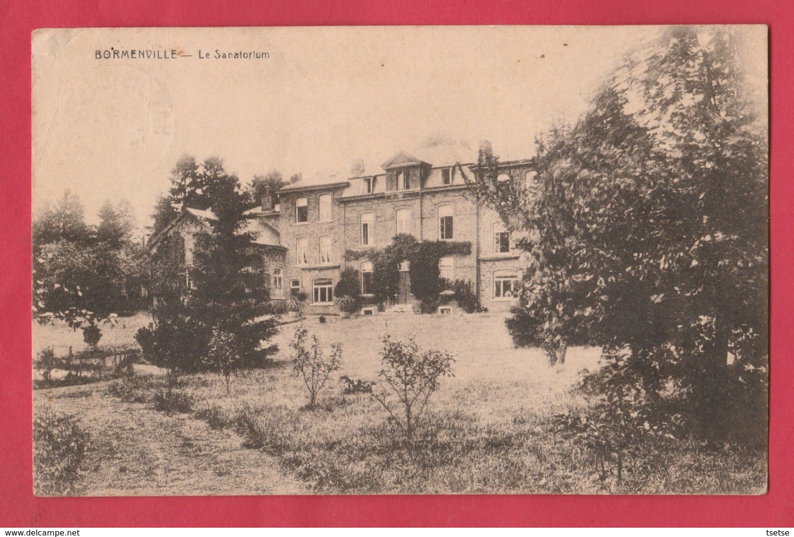 Bormenville - Le Sanatorium ( Voir Verso ) - Havelange