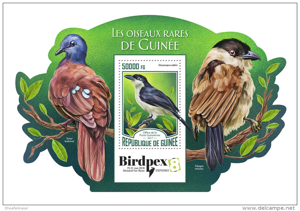 GUINEA REP. 2017 ** BirdPex Rare Birds Of Guinea Seltene Vögel Oiseaux Rares S/S - OFFICIAL ISSUE - DH1733 - Autres & Non Classés