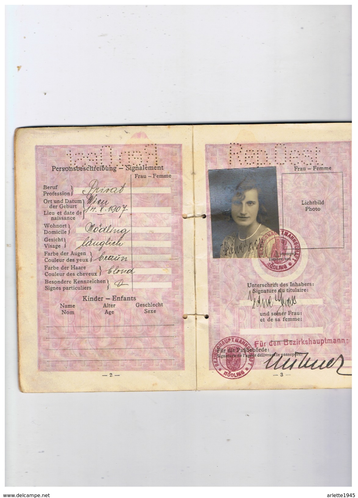 PASSEPORT REPUBLIQUE  D' AUTRICHE 1936  1941 - Sin Clasificación