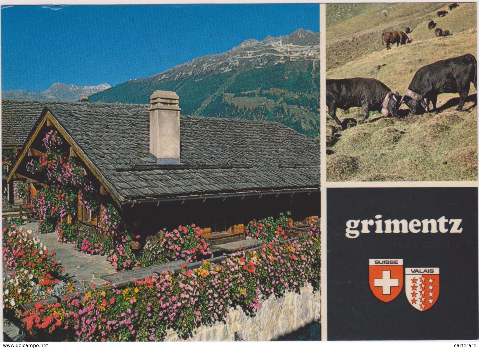 SUISSE,HELVETIA,SWISS,SWITZERLAND,SVIZZERA,VALAIS,GRIMENTZ,ANNIVIERS,TAUREAU - Anniviers