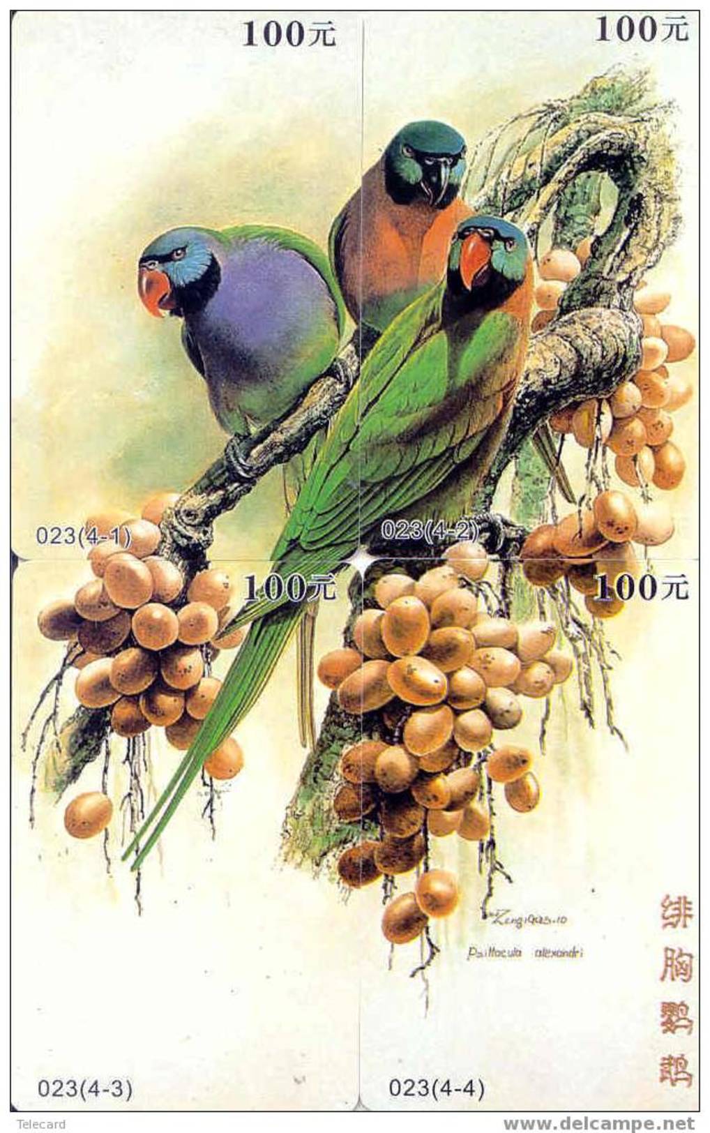 Bird PARROT Perroquet PAPAGAAI Papagei Oiseau (2) Puzzle Of 4 Phonecards - Puzzle