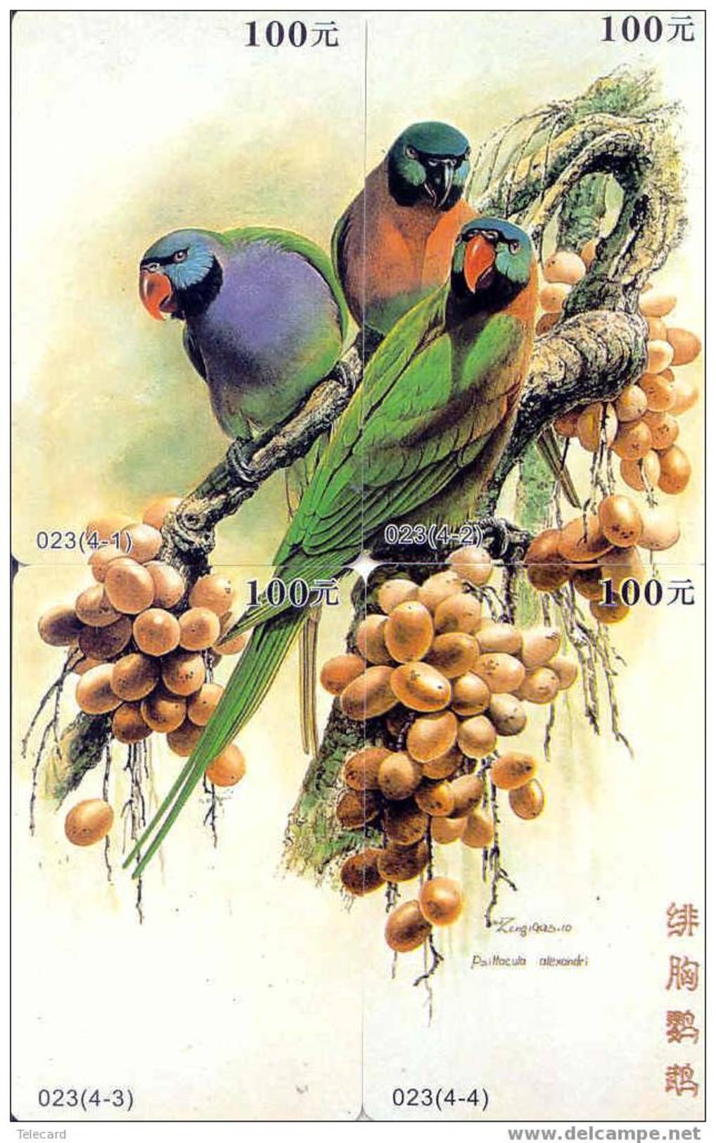 Bird PARROT Perroquet PAPAGAAI Papagei Oiseau (2) Puzzle Of 4 Phonecards - Puzzles