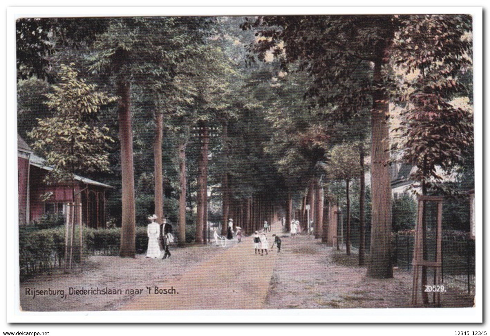 Rijsenburg, Diederichslaan Naar 't Bosch - Driebergen – Rijsenburg