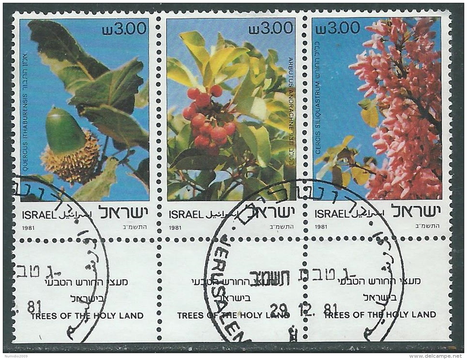 1981 ISRAELE USATO ALBERI DELLA TERRA SANTA CON APPENDICE - T12-9 - Oblitérés (avec Tabs)