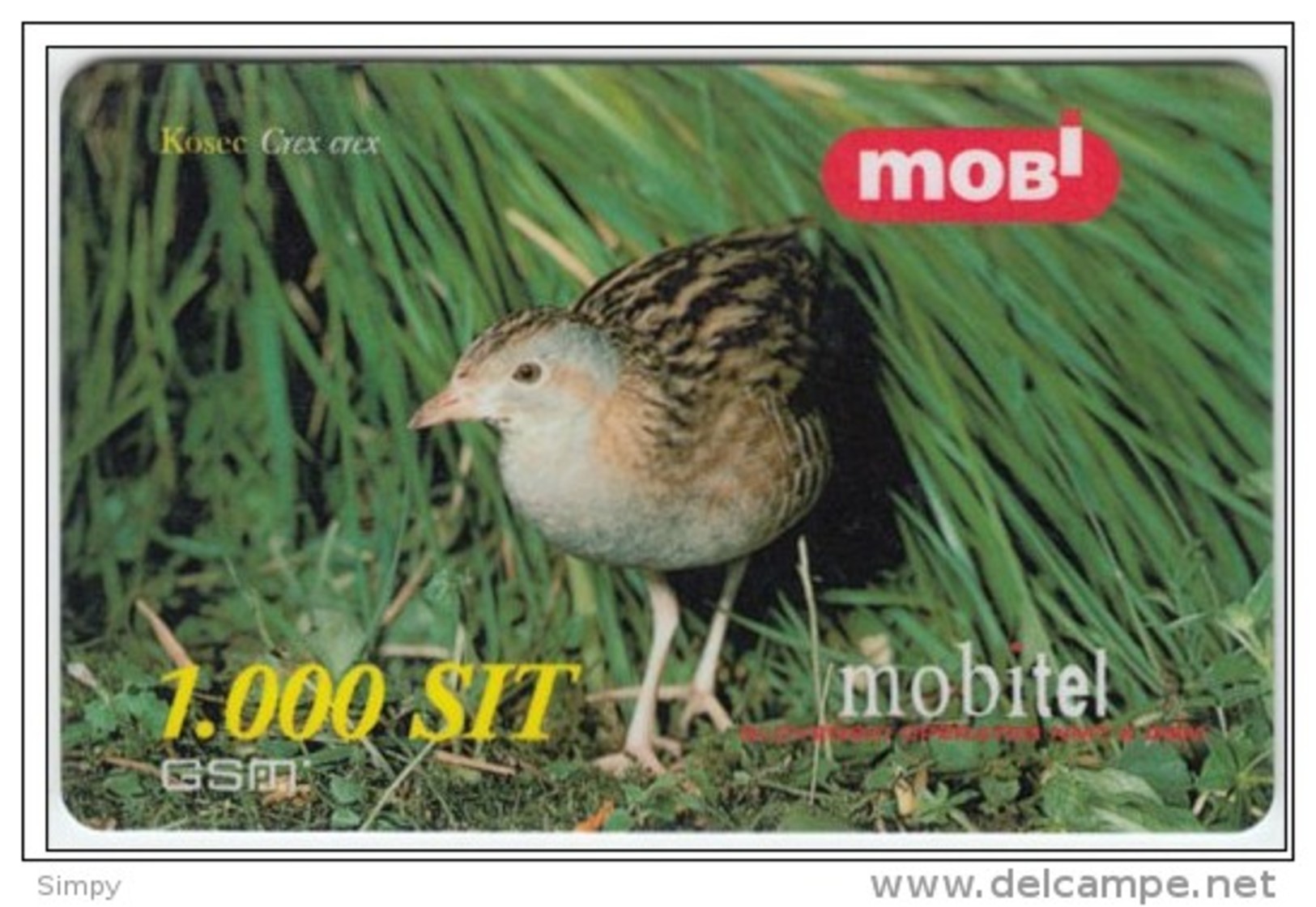 SLOVENIA  Bird Corncrake Kosec Crex Crex Mobil Prepaid Card Valid 31.12.2001 - Songbirds & Tree Dwellers