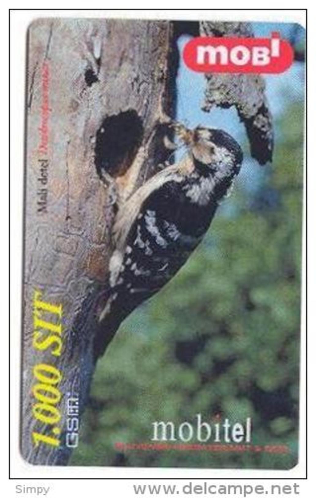 SLOVENIA Bird Lesser Spotted Woodpecker Mali Detel Dendrocopos Prepaid Phoncard  31/12/2001 - Passereaux