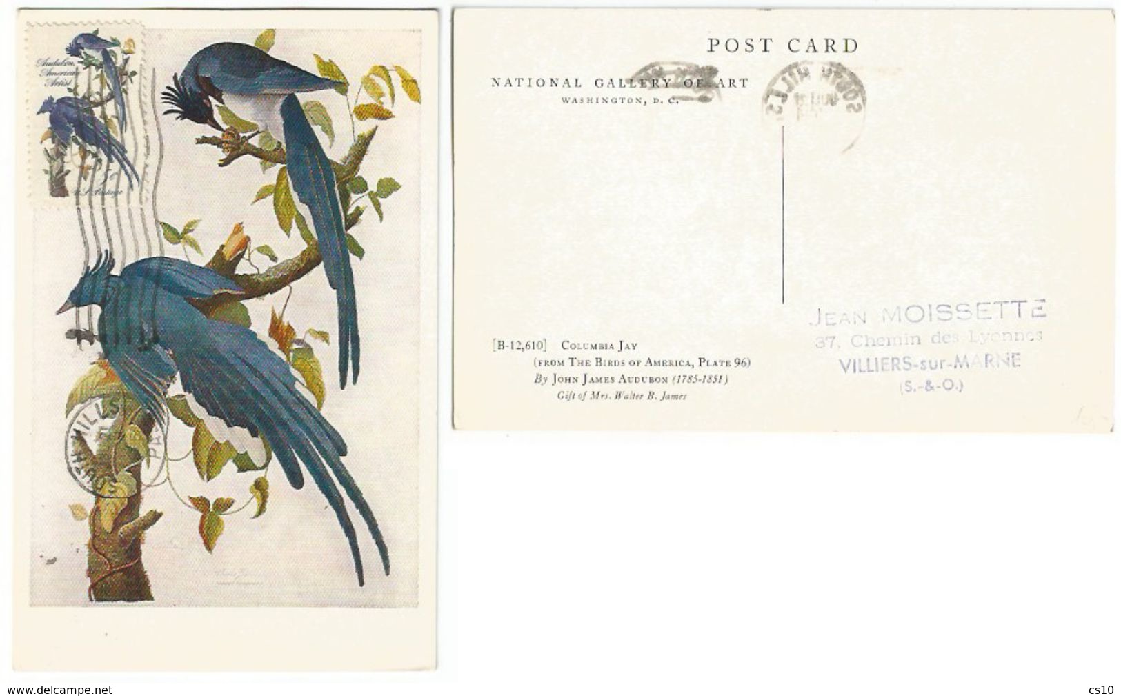 Audubon Maxi Card By USA + Postage C.5 From South Mills PA 1965 To France - Birds