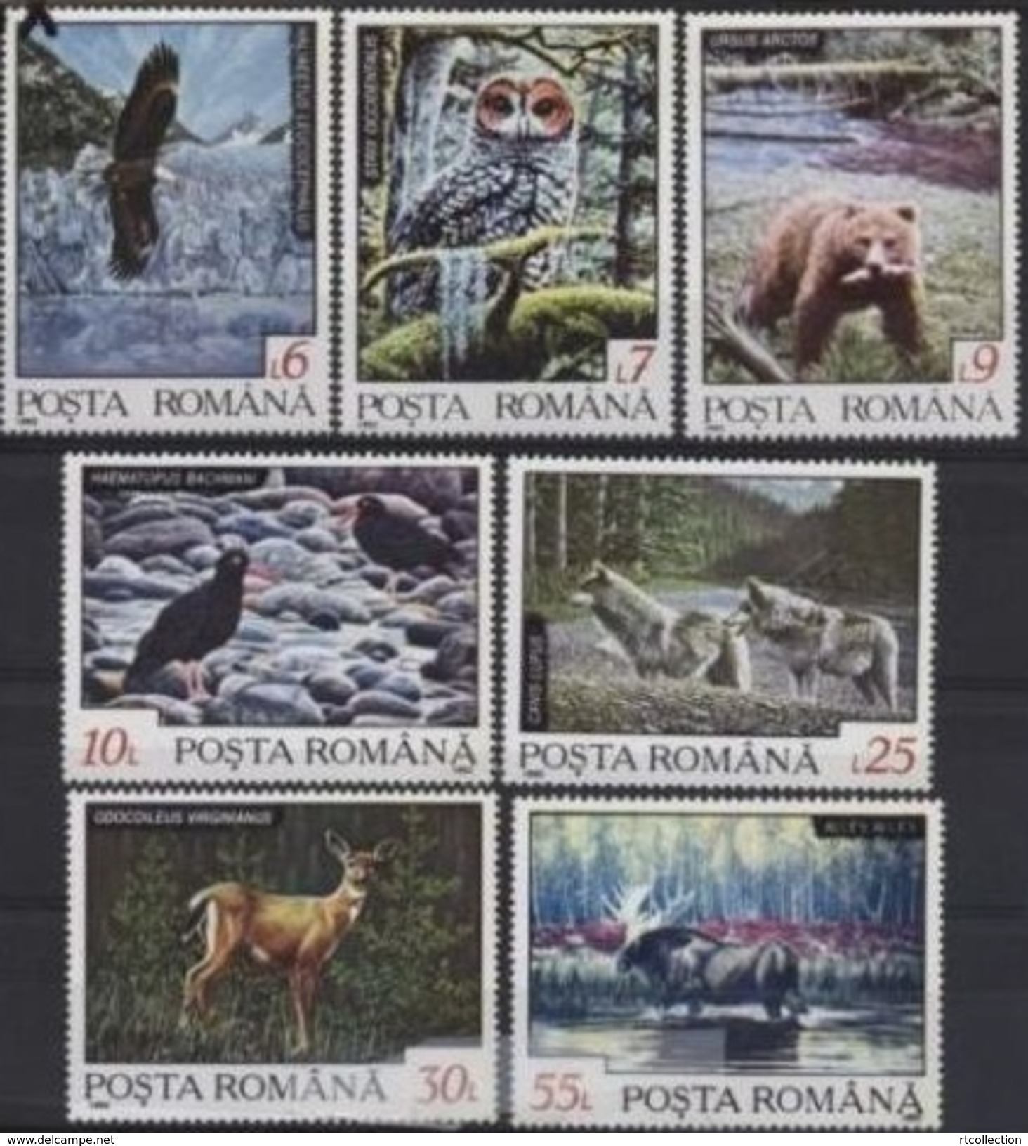 Romania 1992 Birds Of Prey Eagle ELK Wild Animals Fauna Nature Owls Deer Wolf Bears Mammals Stamps MNH Michel 4836-4842 - Eagles & Birds Of Prey