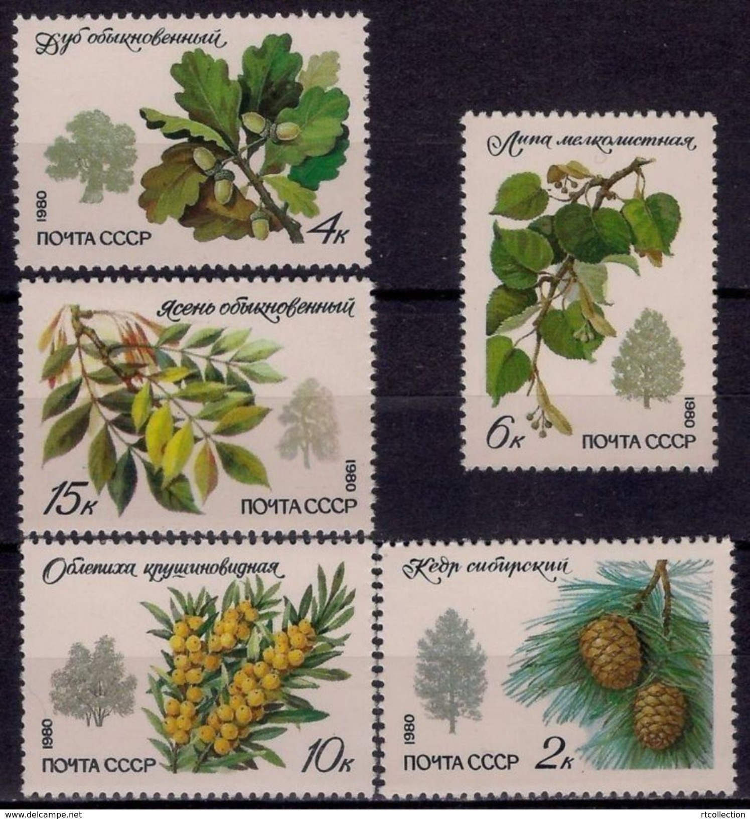 USSR Russia 1980 Trees Protect Seed Siberian Pine Oak Lime Tree Seeds Plants Nature Stamps MNH Mi 5002-5006 Sc 4871-75 - Other & Unclassified