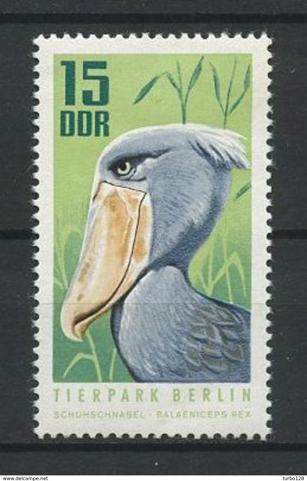 ALLEMAGNE 1970 N° 1309 ** Neuf MNH Superbe  Cote 0.90 &euro; Faune Oiseaux Bec à Soulier Birds Animaux - Neufs