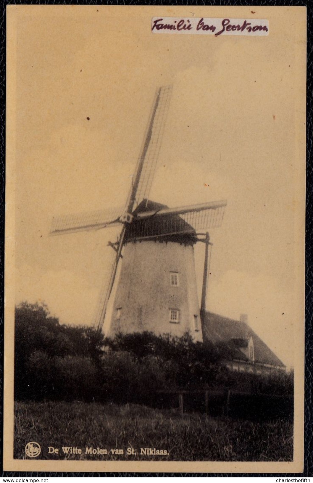 SINT NIKLAAS - DE WITTE MOLEN - MOULIN - Niet Courant - Sint-Niklaas