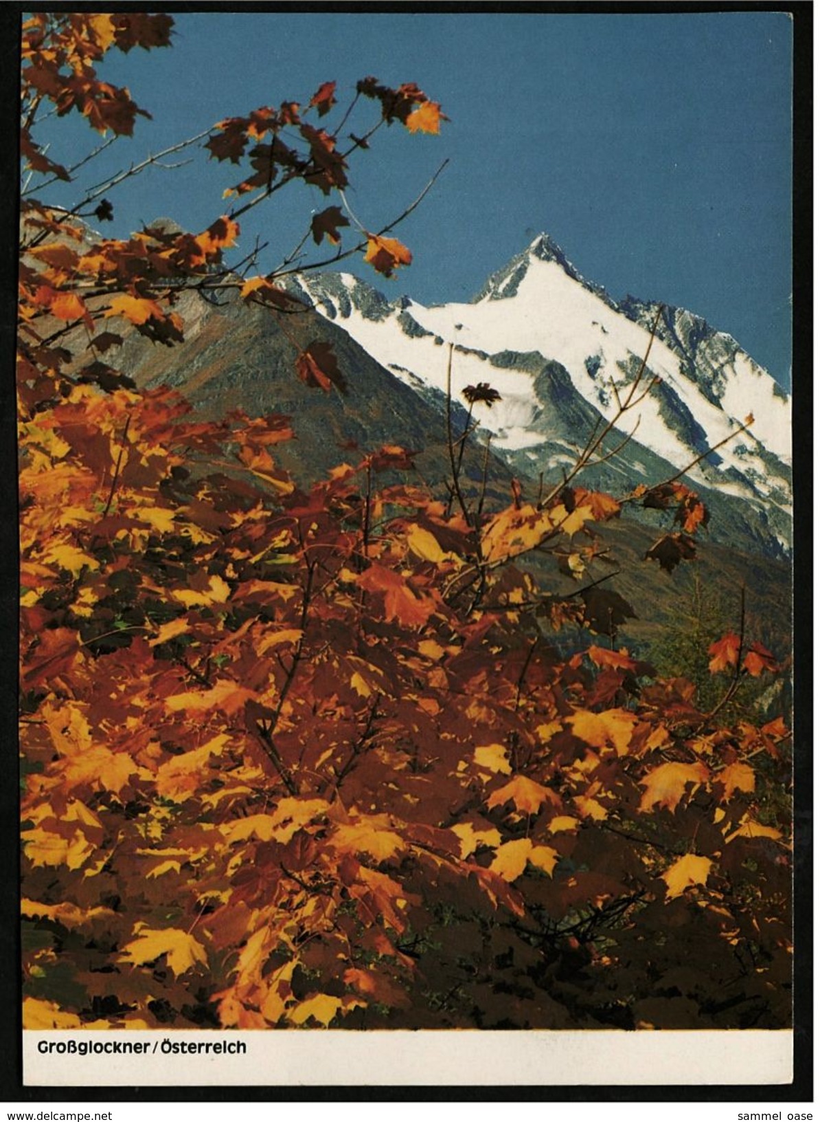 Großglockner  -  Ansichtskarte Ca.1980    (7377) - Heiligenblut