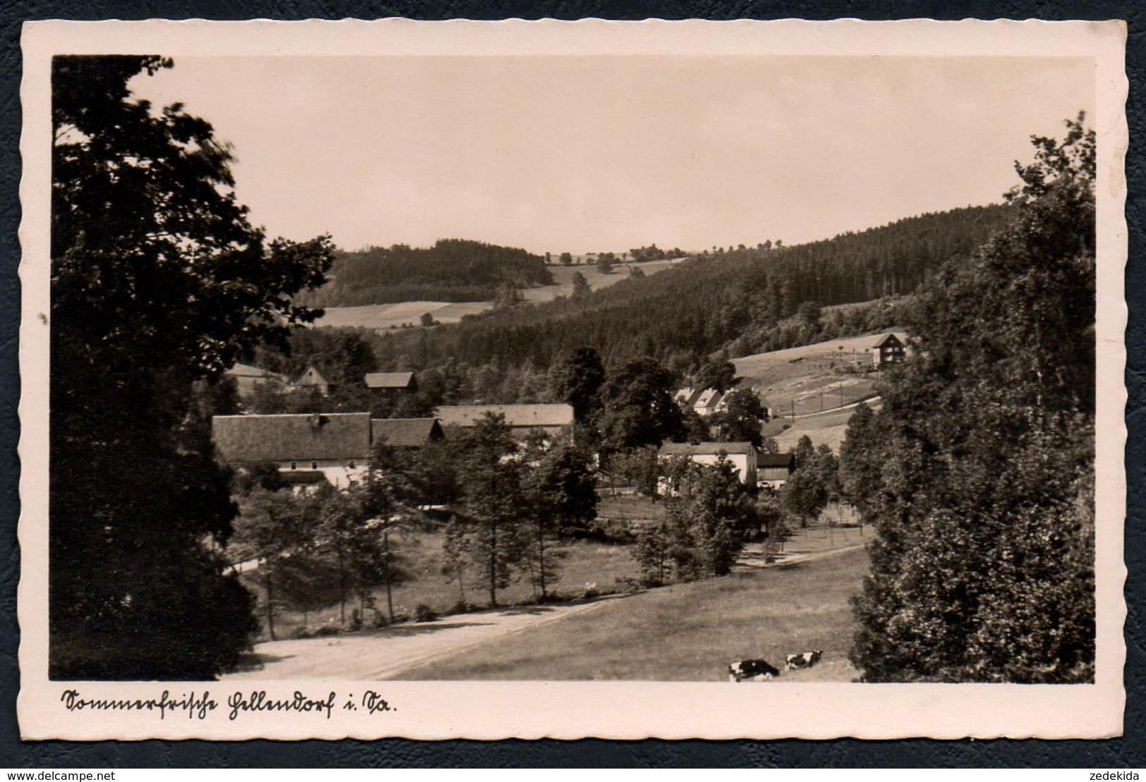 A6073 - Alte Foto Ansichtskarte - Hellendorf - Adam - Landpost Landpoststempel über Pirna - Gel 1940 TOP - Pirna