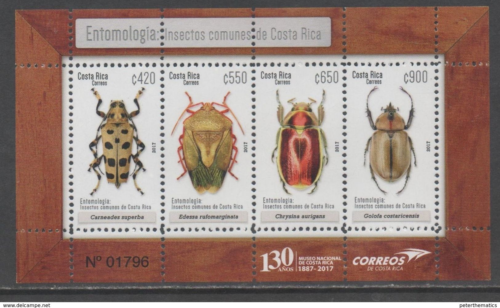COSTA RICA, 2017, MNH, INSECTS, ENTOMOLOGY, BEETLES, SHEETLET - Other & Unclassified