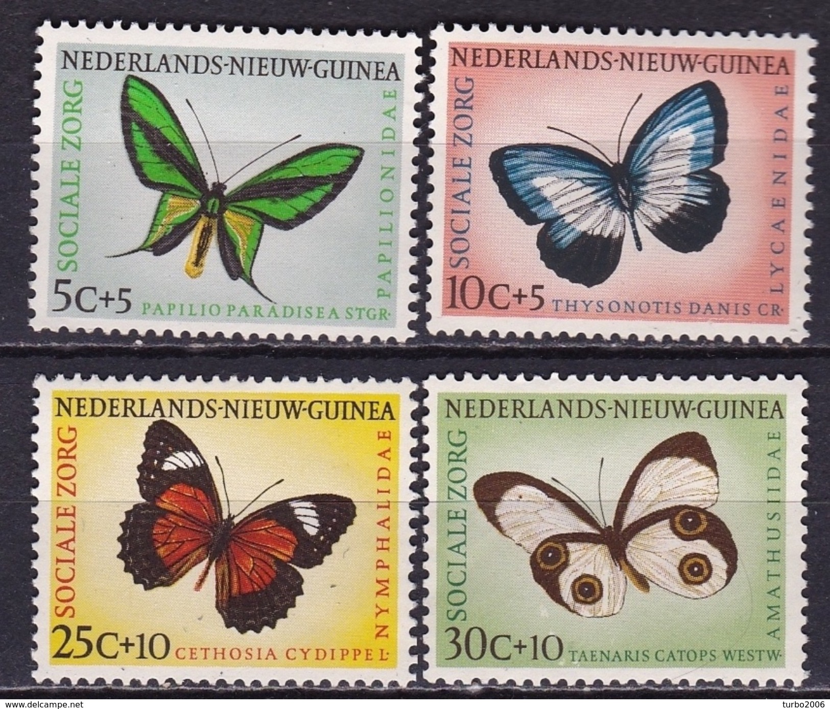 1960 NNG Sociale Zorg : Vlinders Complete Postfrisse Serie NVPH 63 / 66 - Netherlands New Guinea